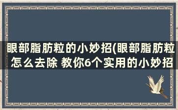 眼部脂肪粒的小妙招(眼部脂肪粒怎么去除 教你6个实用的小妙招)